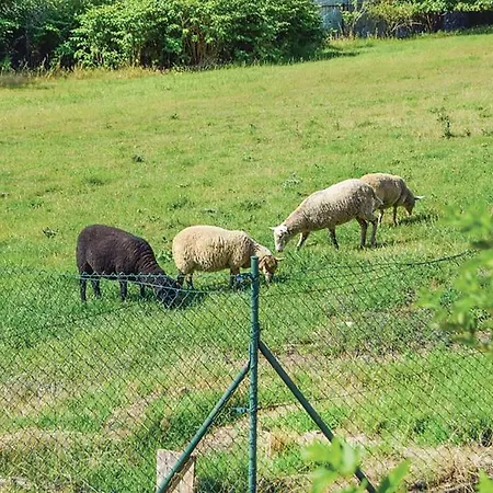 Luxusní apartmán s empírovými freskami v centru Čáslavi Esterno foto