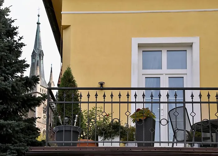 Luxusni Apartman S Empirovymi Freskami V Centru Caslavi