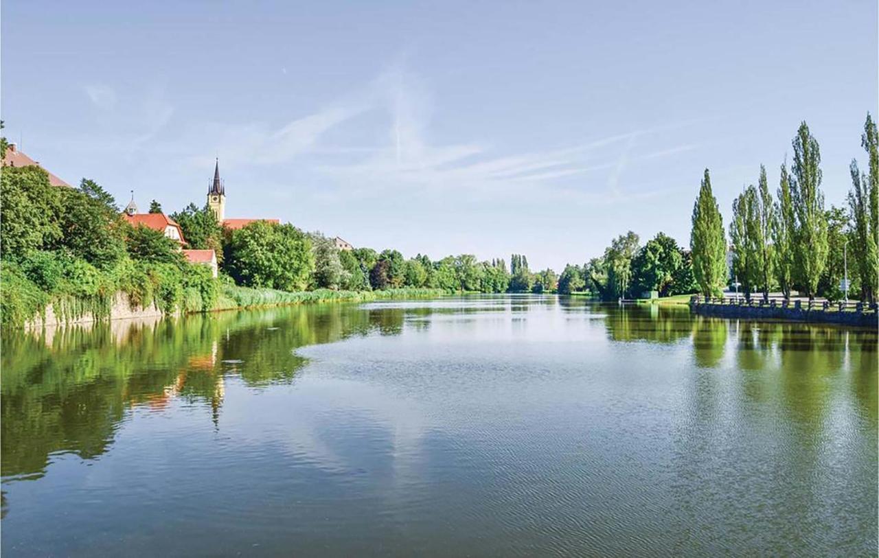Luxusni S Empirovymi Freskami V Centru Caslavi Apartment Caslav