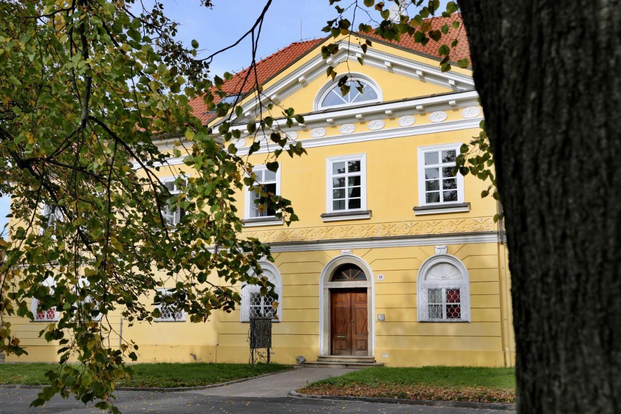 Apartment Luxusni S Empirovymi Freskami V Centru Caslavi Caslav