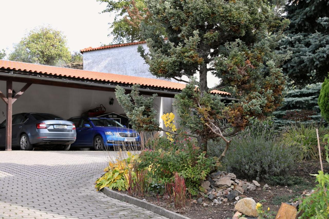 Luxusni S Empirovymi Freskami V Centru Caslavi Apartment *