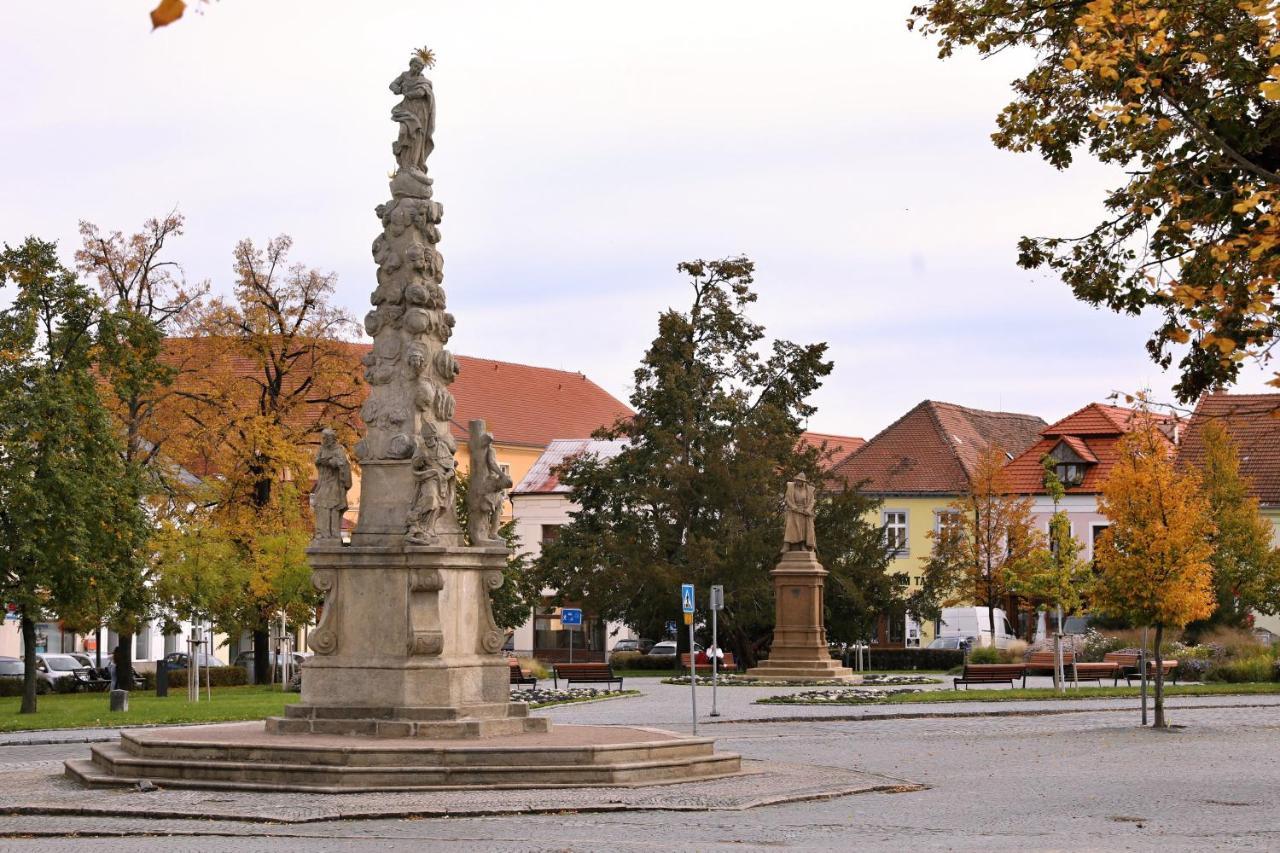 Luxusni S Empirovymi Freskami V Centru Caslavi Caslav